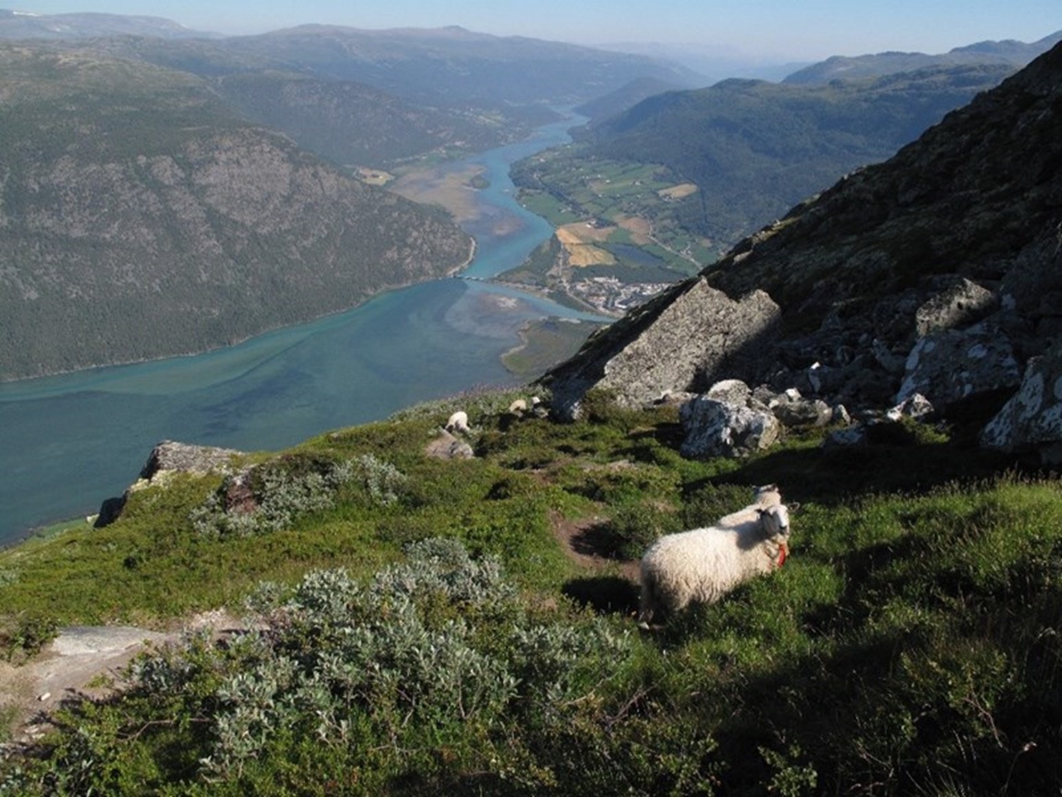 Ottavassdraget Sett Fra Lomseggi