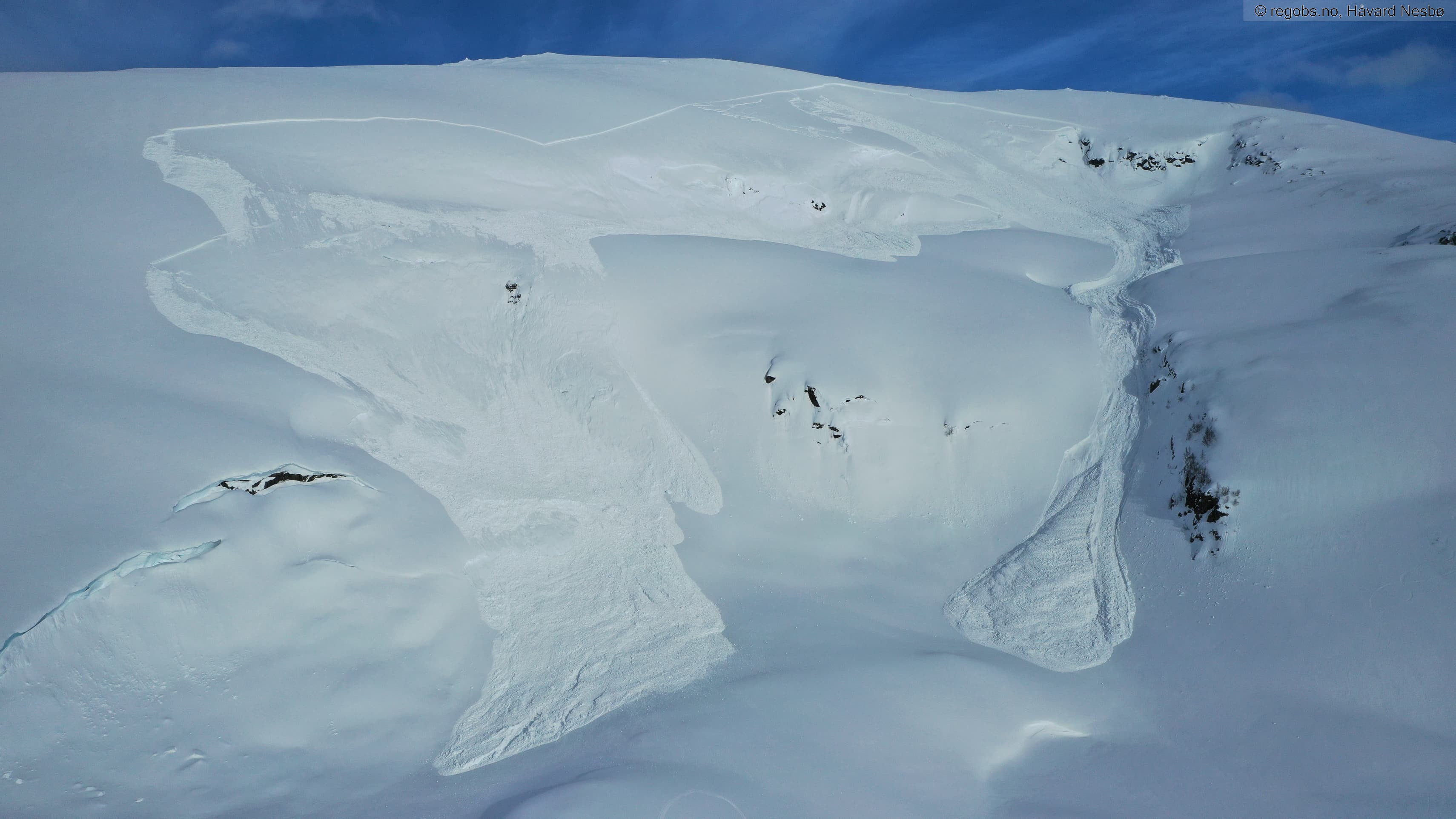 Flakskred som har forplantet seg langt utover fjellsiden.