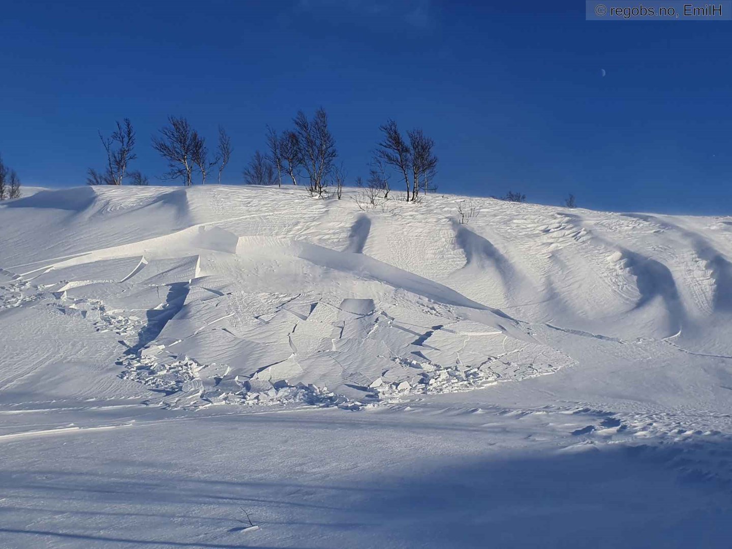 Et smått flakskred som har løsnet i et lite le-heng.
