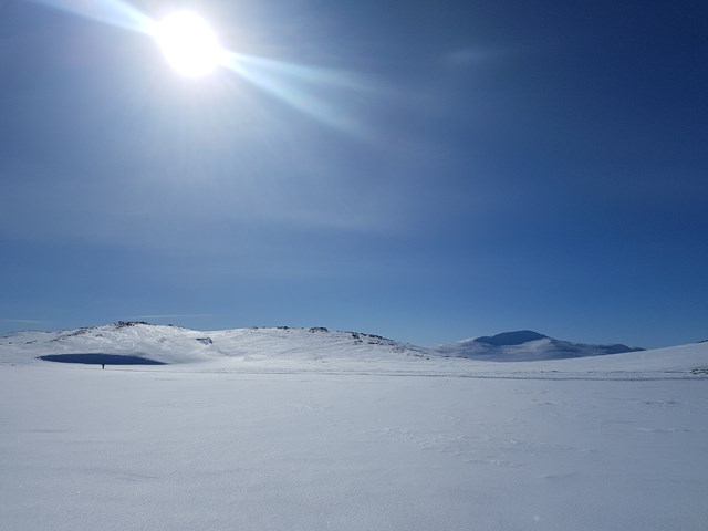 Et flatt område som er utenfor skredterreng.
