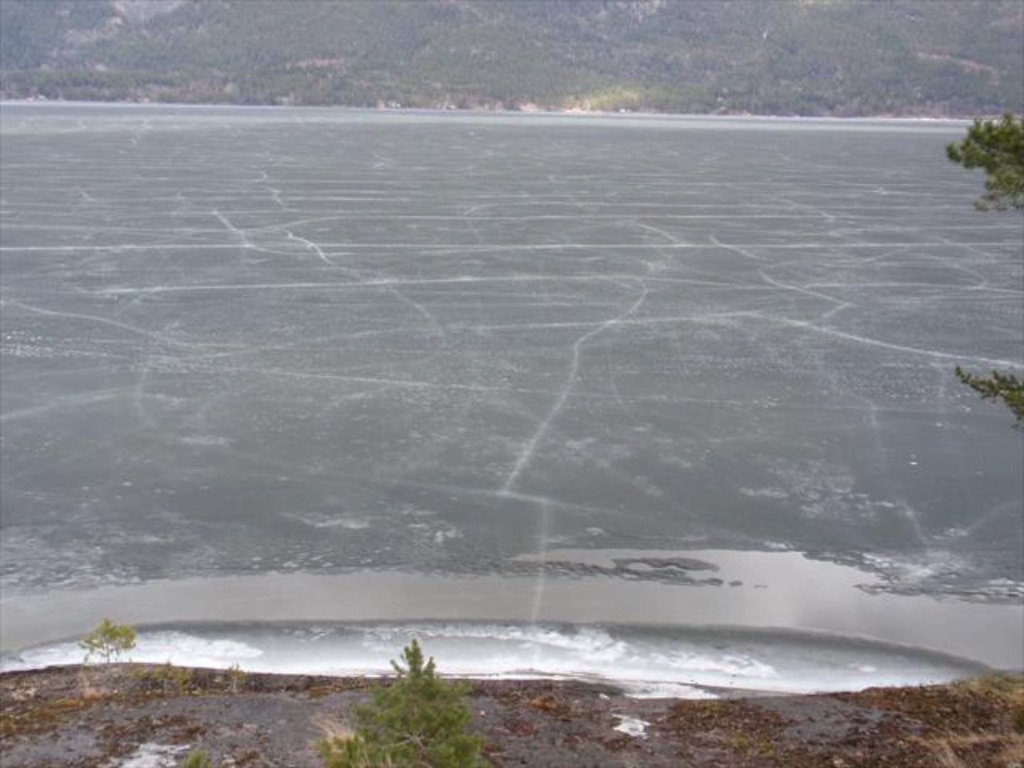 Et vann med mye mørk våris.