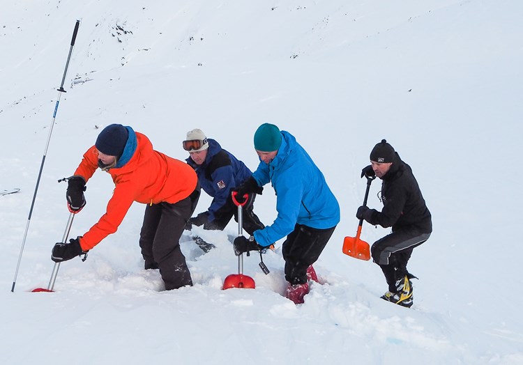 4 personer i V form som graver etter å ha gjort funn med søkestang