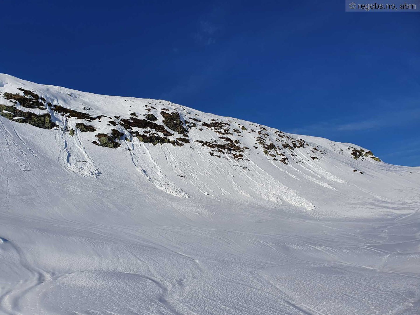 Flere våte løssnøskred langs et klippeparti i fjellet. Skred av både små og middels størrelse.