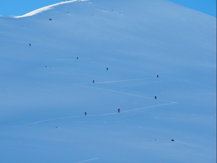 En gruppe skigåere beveger seg oppover en fjellside med god avlastningsavstand.