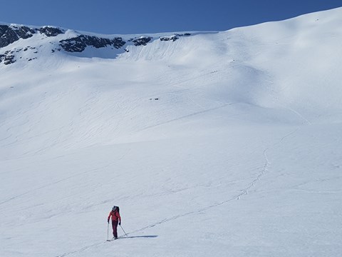 Bilde av områder hvor man går opp til Blånebba.