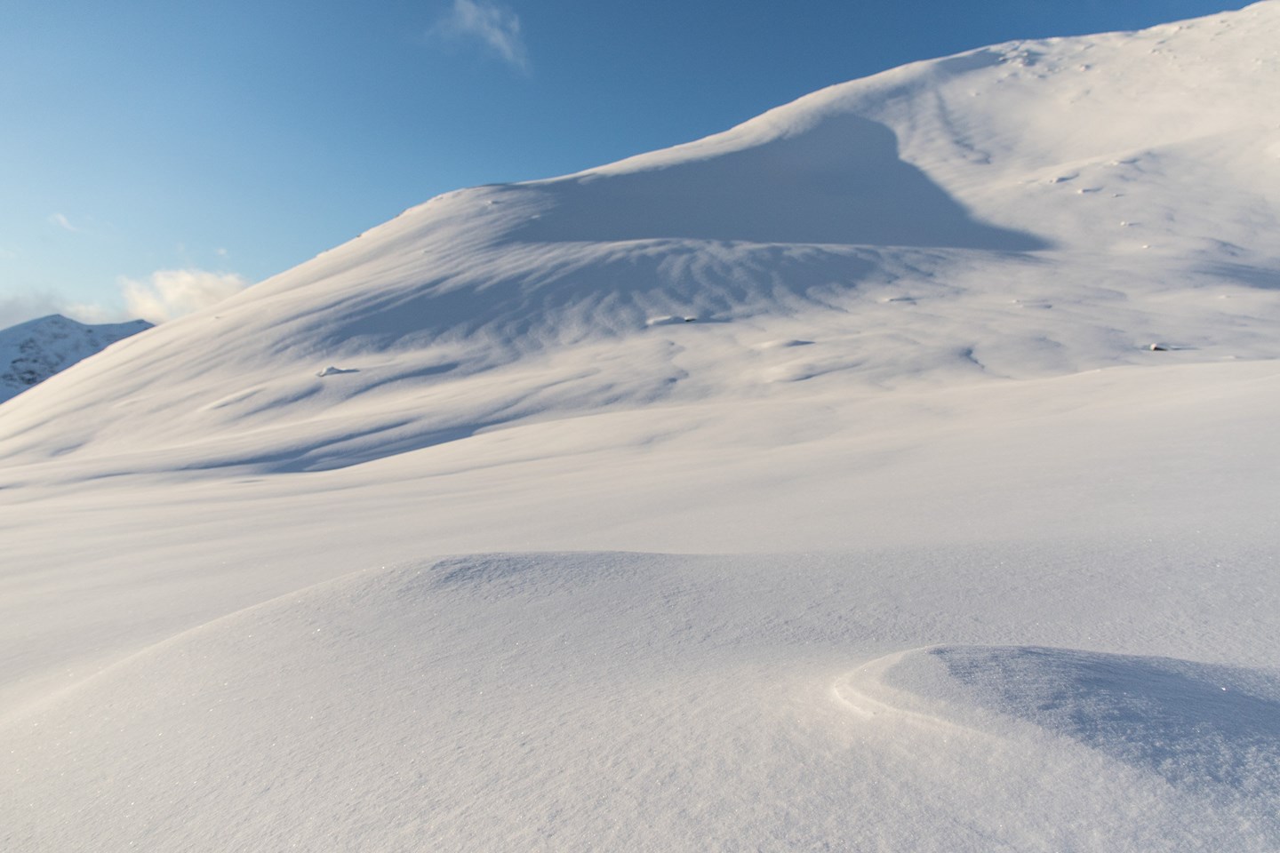 Vindpåvirket snøoverflate med litt nysnø på toppen.