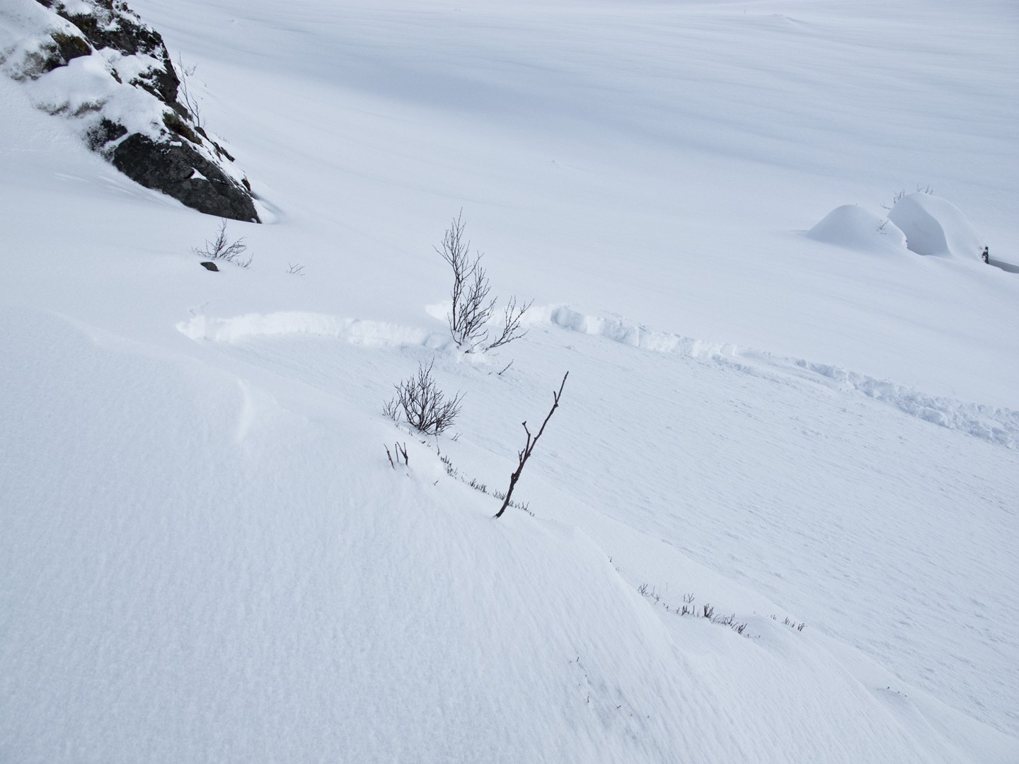 Et smått nysnøflak har løsnet.