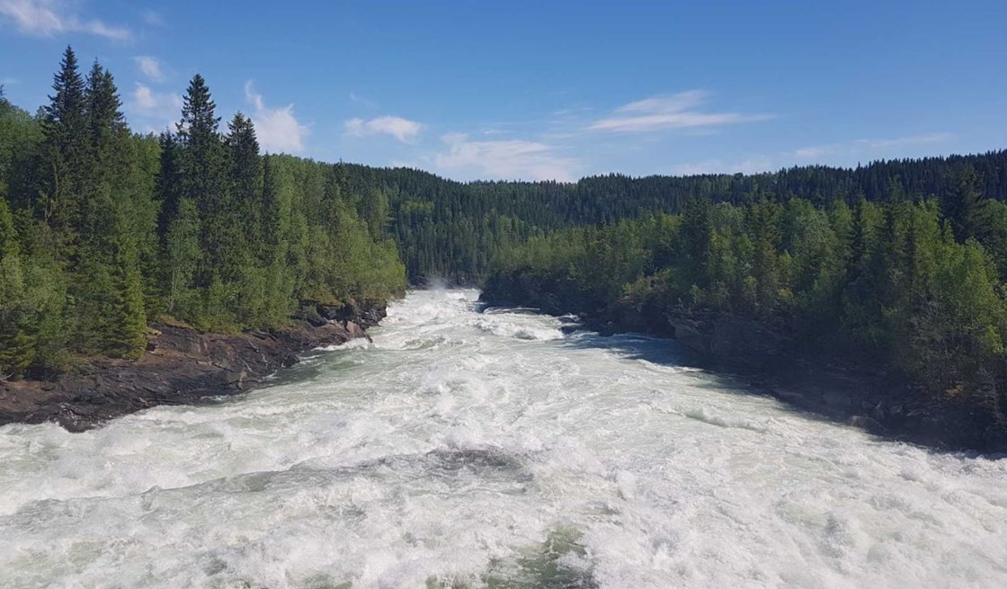 Stor vannføring under i Ranaelva.