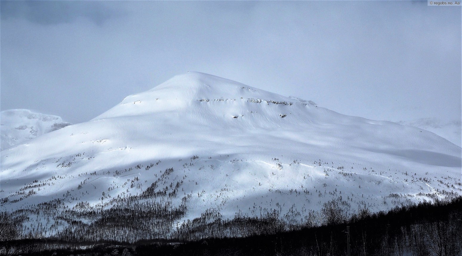 Et ekstremt stort flakskred som har løsnet og forplantet seg langt i overkanten av skoggrensen på Sjufjellet i Tamokdalen.