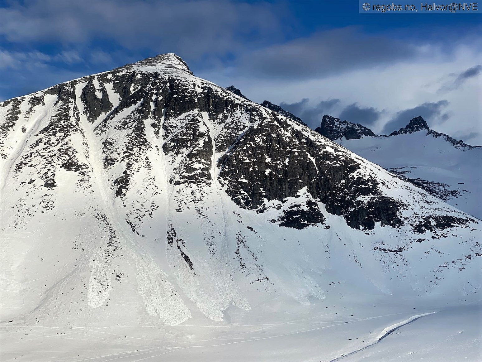 Flere våte løssnøskred har løsnet fra en bratt fjellside. Fra små til middels store skred.