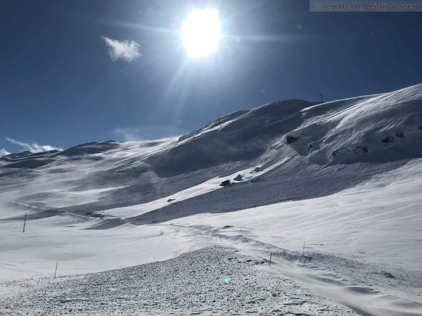 Et svært stort flakskred har gått over en vei.