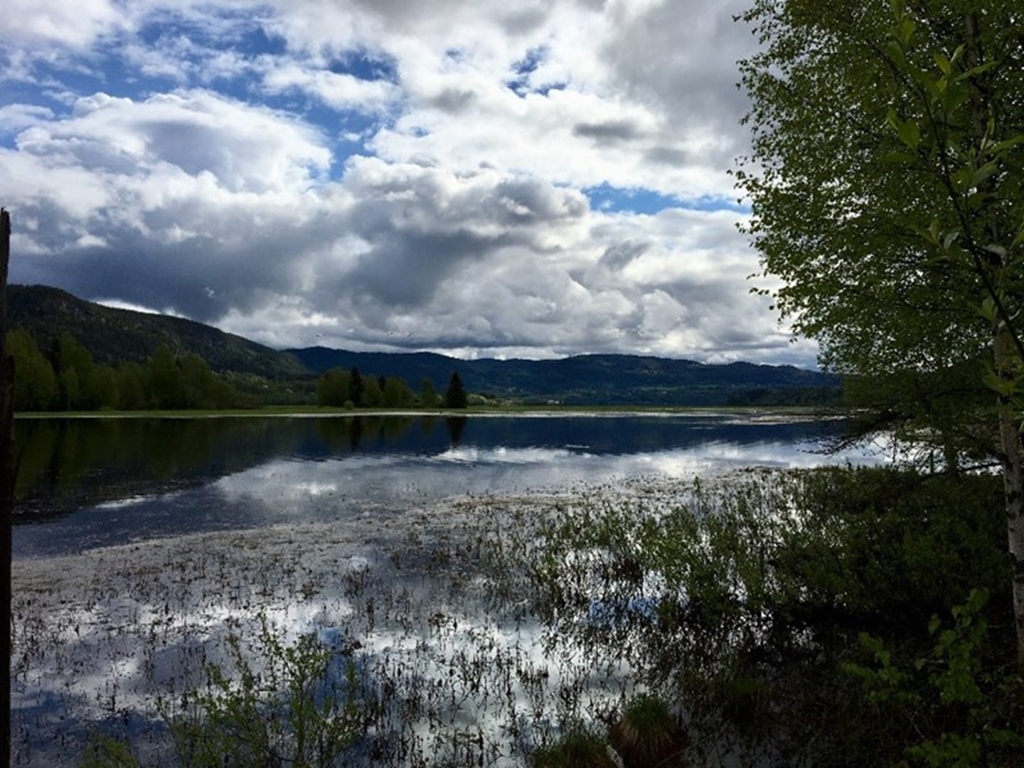 Bilde av Randsfjorden ved Dokkadeltaet.