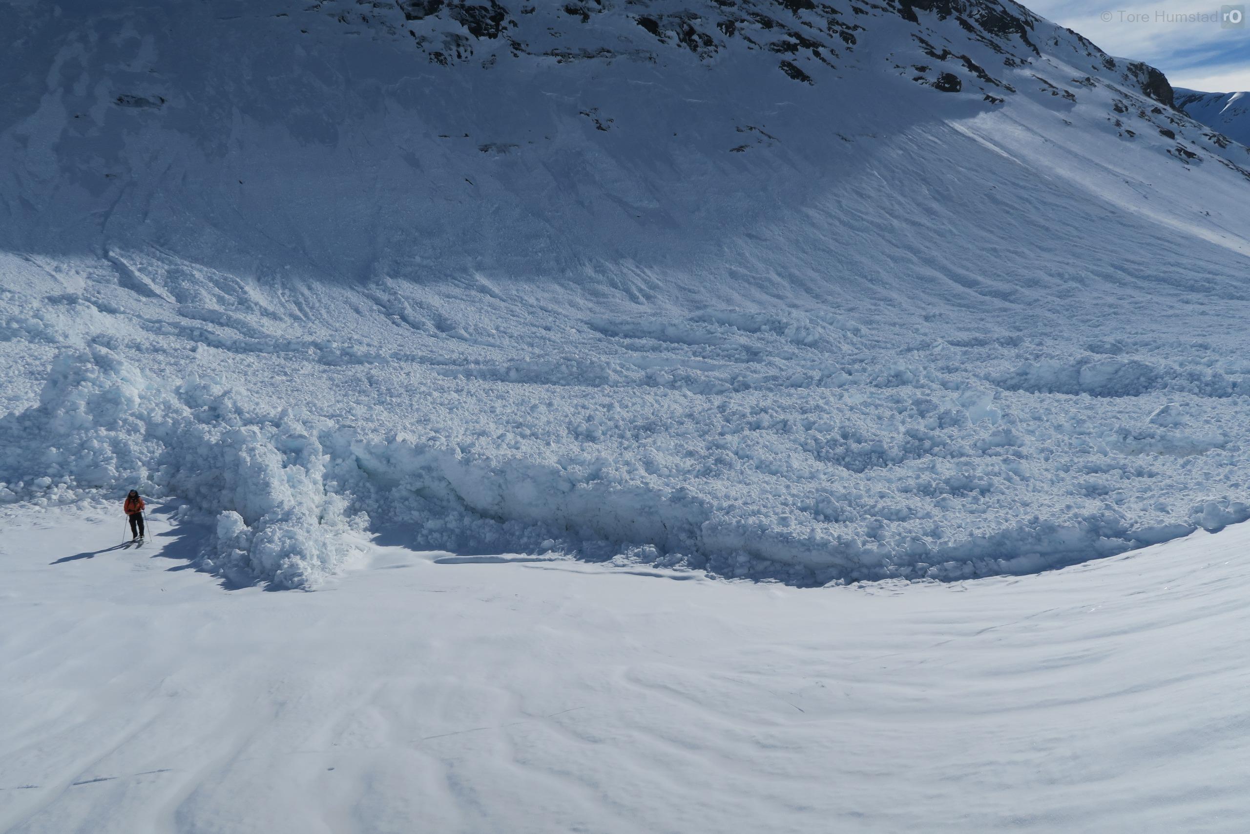 En skigåere står ved siden av skredavsetningene til et svært stort vått flakskred.