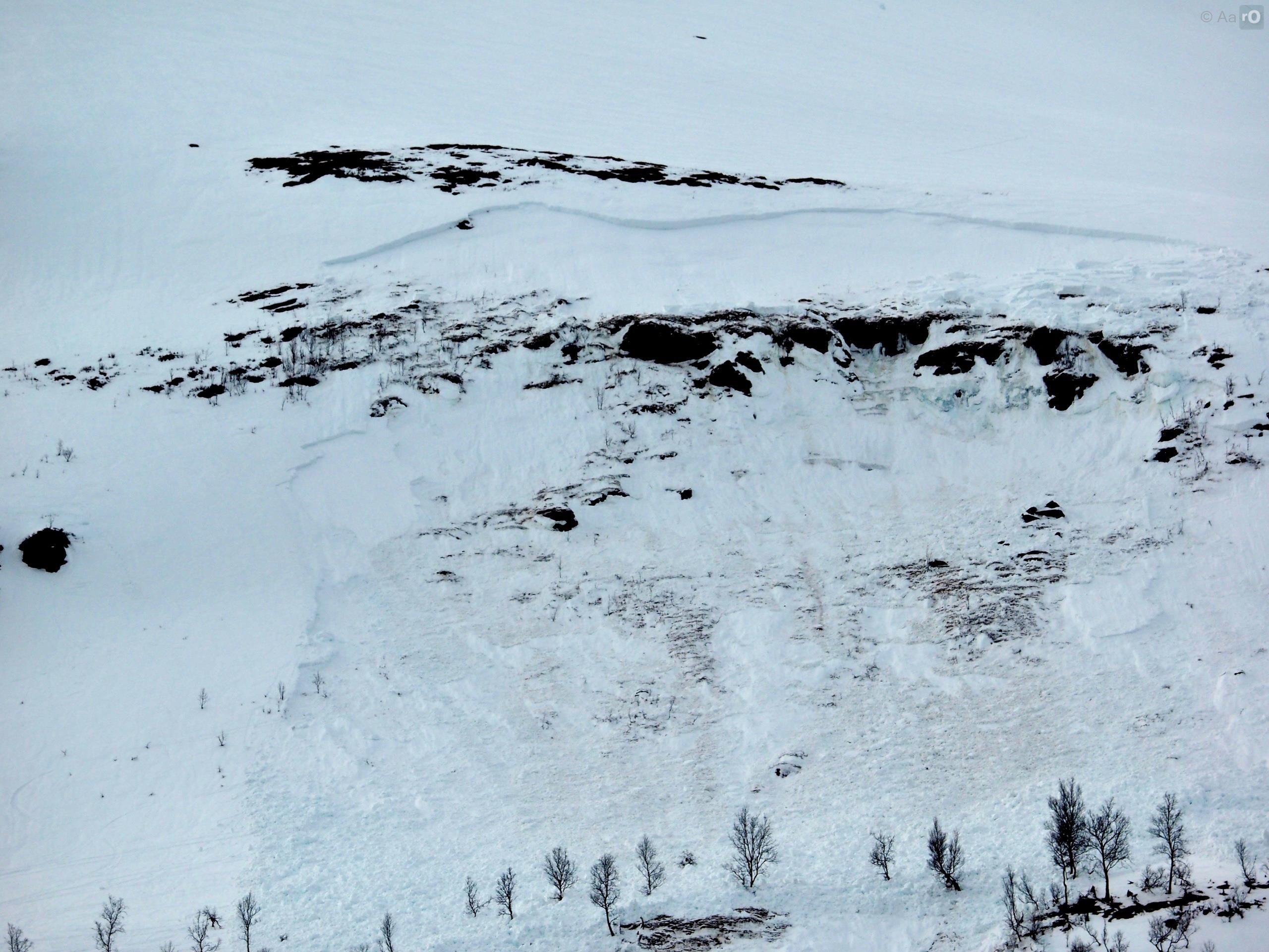 Et stort vått flakskred rett over skoggrensen.