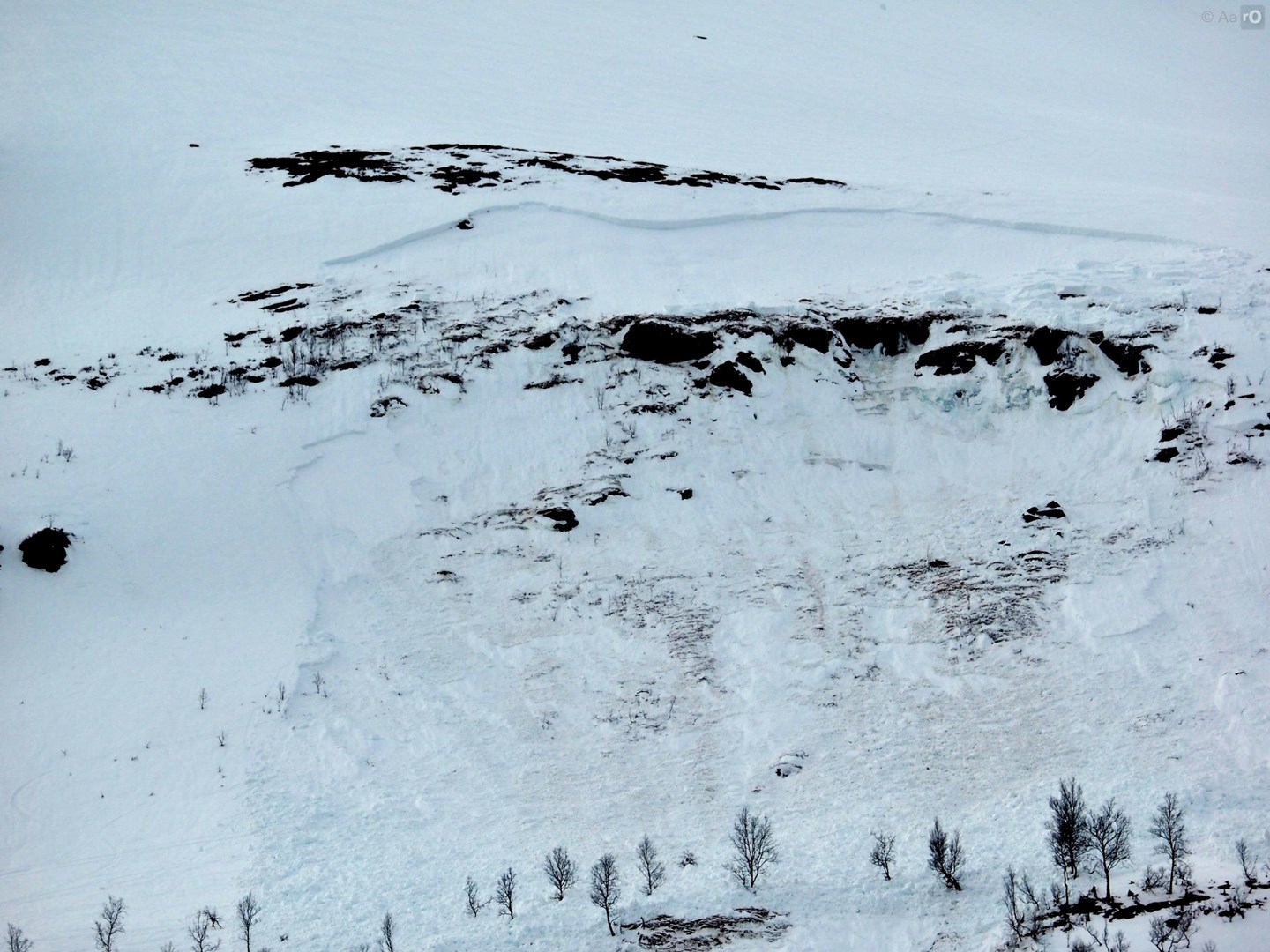 Et stort vått flakskred rett over skoggrensen.