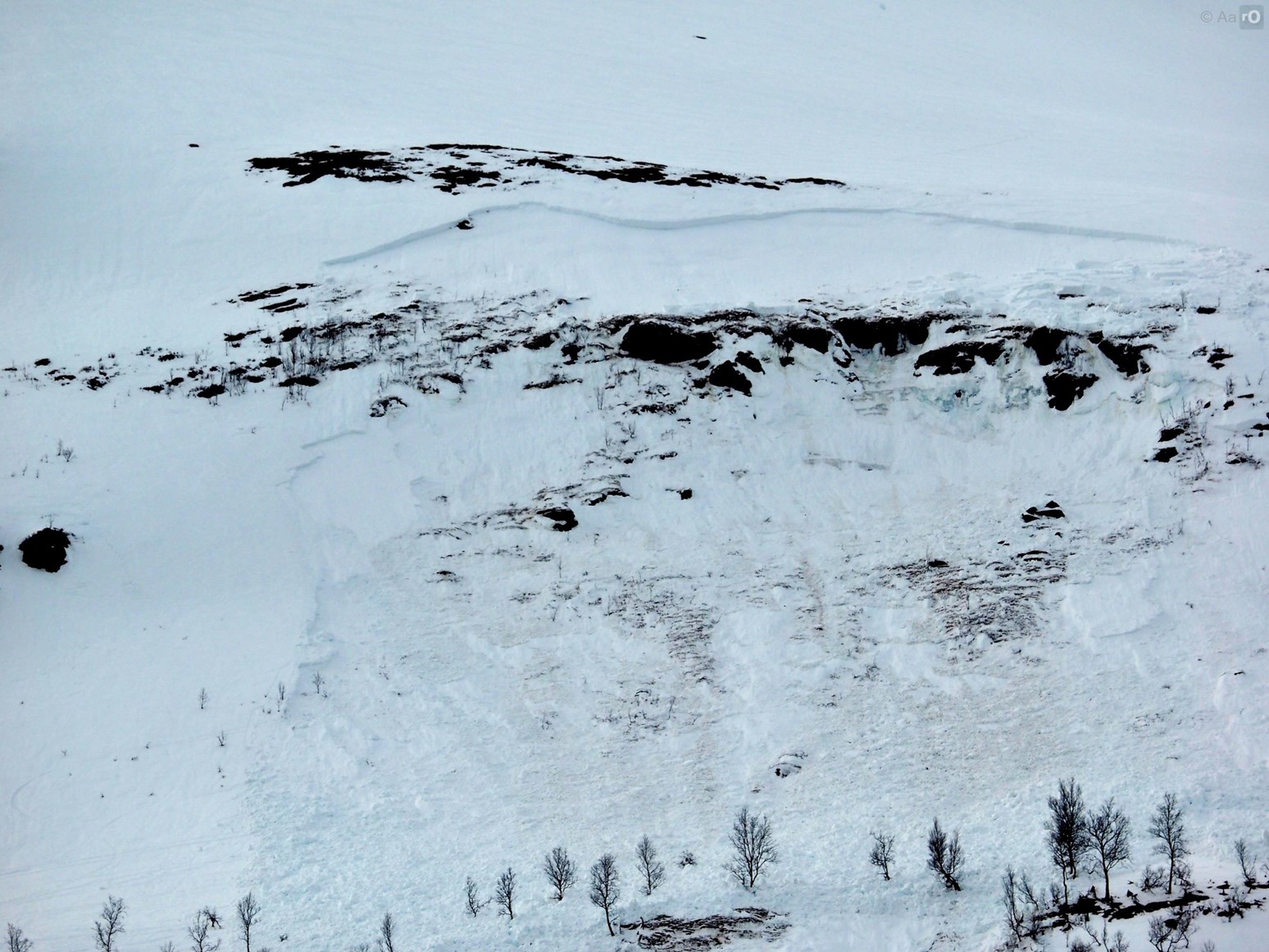 Et stort vått flakskred rett over skoggrensen.