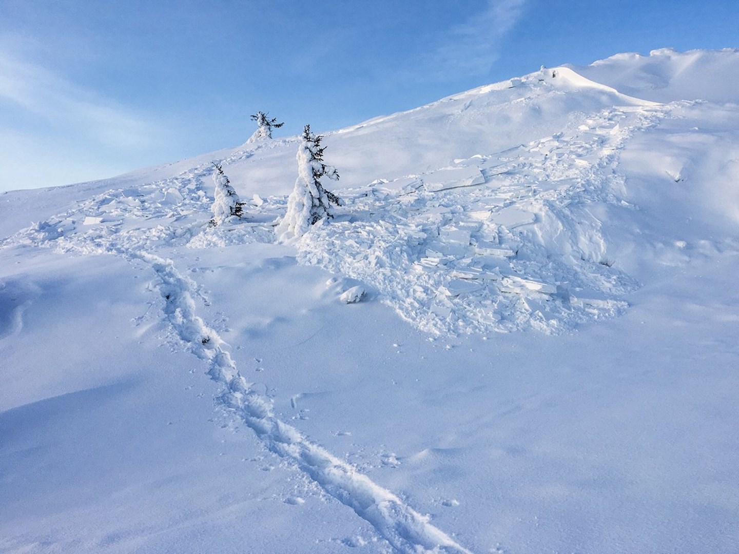 Et middels stort flakskred har løsnet i en leside i terrenget.