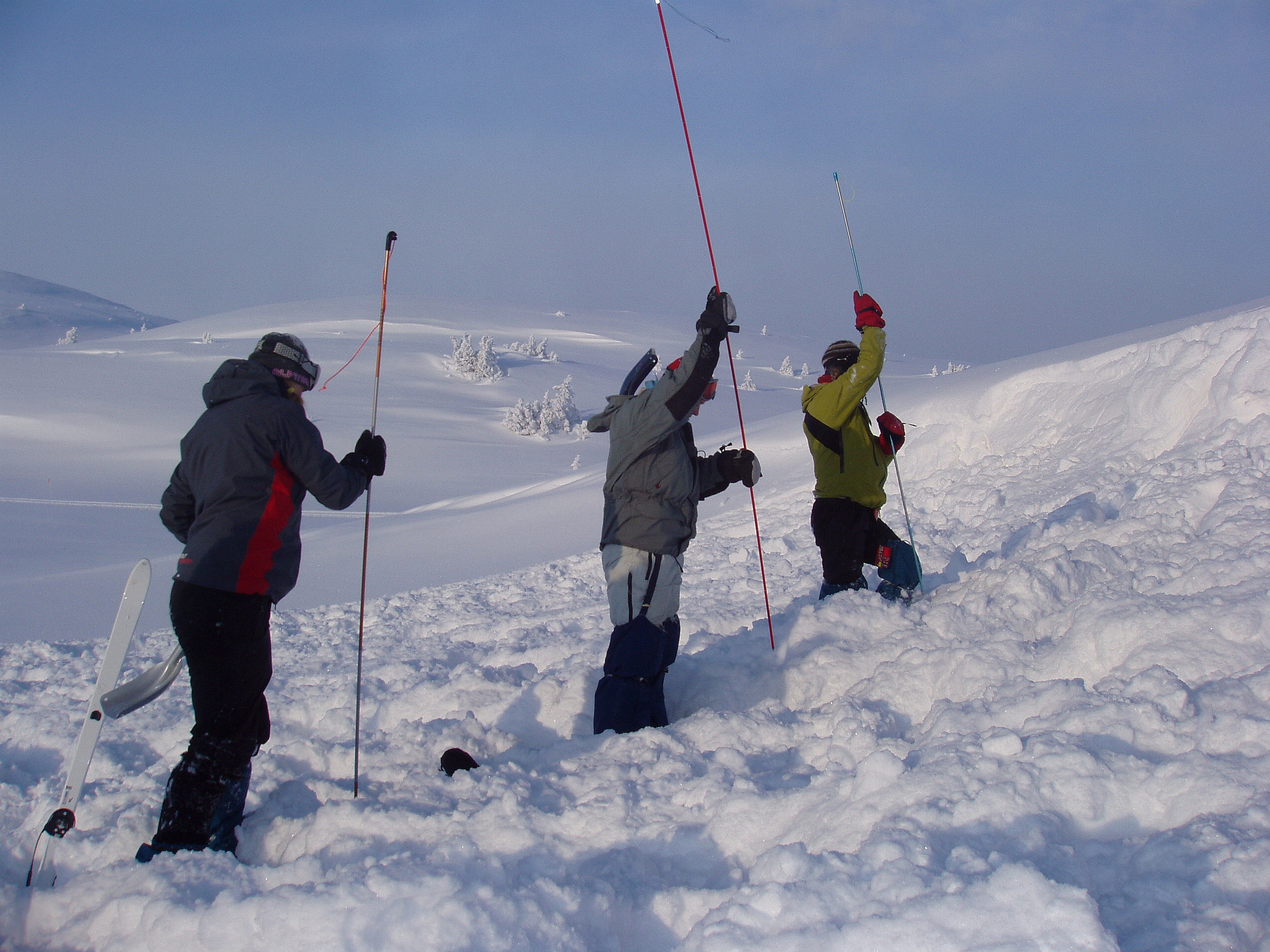 En gruppe som bedriver grovsøk etter en skredtatt.