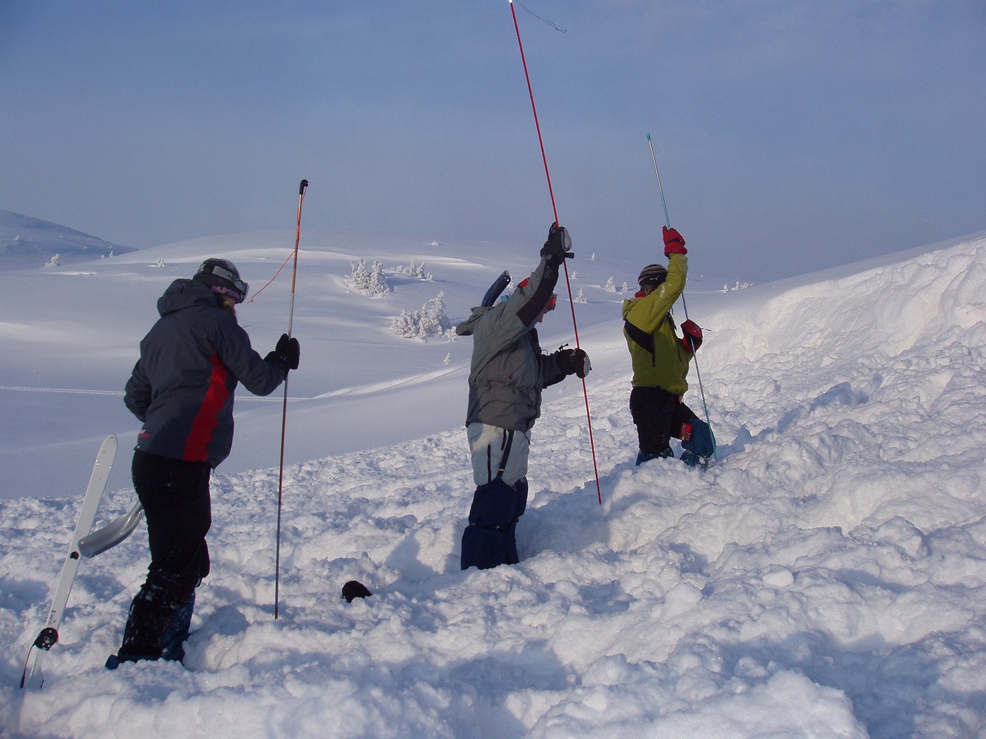 En gruppe som bedriver grovsøk etter en skredtatt.