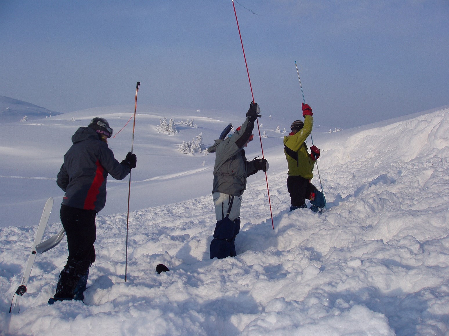 En gruppe som bedriver grovsøk etter en skredtatt.