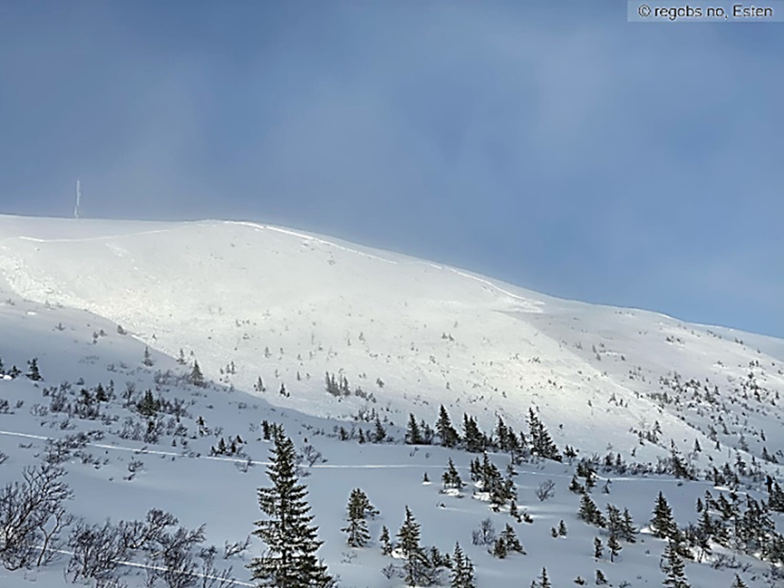 Et svært stort flakskred har gått ned i skogen.